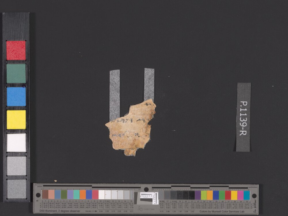 4QpaleoDeuteronomy r (4QpaleoDeutʳ) (Scan 1) showing Deuteronomy 23:13 from Late 2nd Century BC – Late 1st Century BC found in Qumran, Cave 4, currently housed at Rockefeller Museum, Jerusalem