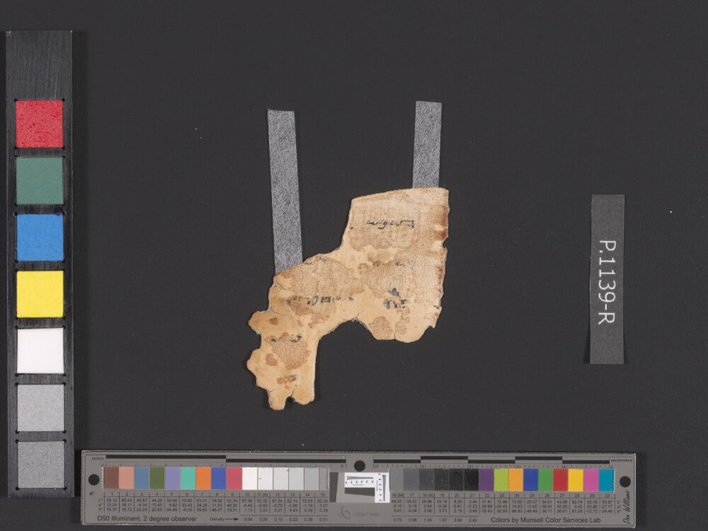 4QpaleoDeuteronomy r (4QpaleoDeutʳ) (Scan 2) showing Deuteronomy 23:13 from Late 2nd Century BC – Late 1st Century BC found in Qumran, Cave 4, currently housed at Rockefeller Museum, Jerusalem