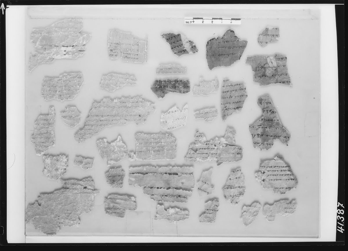 4QpaleoDeuteronomy s (4QpaleoDeutˢ) showing Deuteronomy 26:15 from Mid- to Late 3rd Century BC found in Qumran, Cave 4, currently housed at Rockefeller Museum, Jerusalem