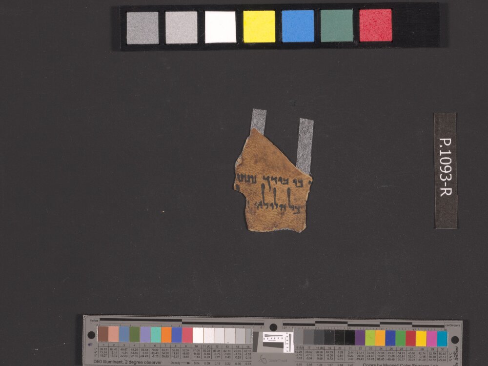 4QJoshᵃ (4QJoshuaᵃ) (Scan 4) showing Joshua (Jesus) 10:3 from Mid-2nd Century BC – Mid-1st Century BC found in Qumran, Cave 4, currently housed at Rockefeller Museum, Jerusalem