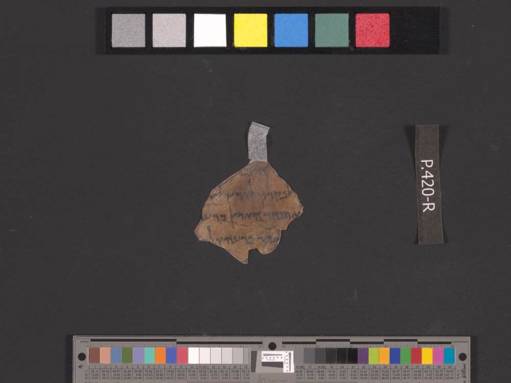 4QGenesis e (Scan 1) showing Genesis 41:39 from 50–25 BC found in Qumran, Cave 4, currently housed at Rockefeller Museum, Jerusalem