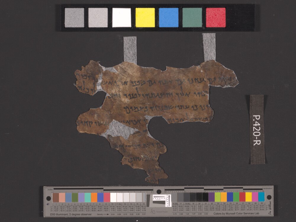 4QGenesis e showing Genesis 43:8 from 50–25 BC found in Qumran, Cave 4, currently housed at Rockefeller Museum, Jerusalem