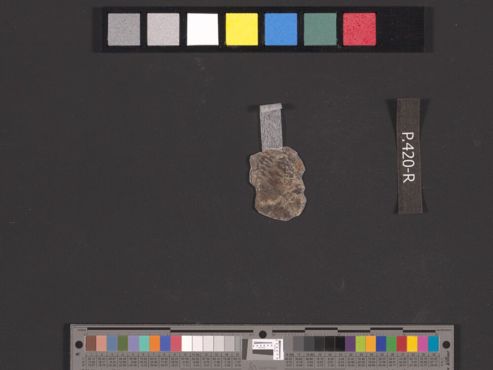 4QGenesis e showing Genesis 49:7 from 50–25 BC found in Qumran, Cave 4, currently housed at Rockefeller Museum, Jerusalem