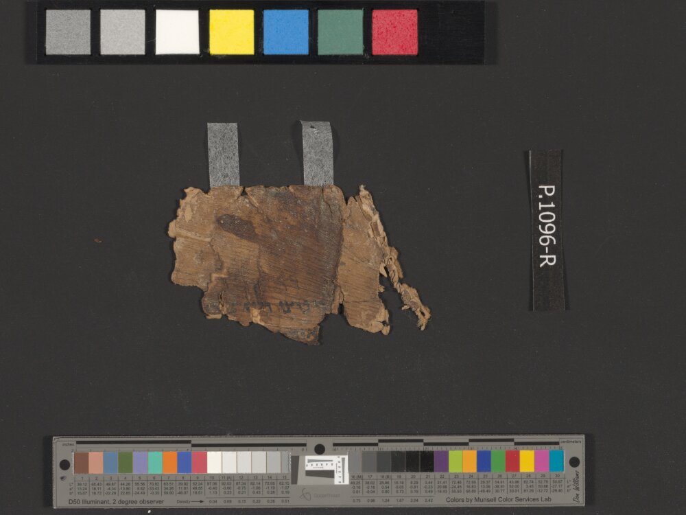 4Q Samuel a (4QSamᵃ) showing 1 Samuel (1 Kingdoms) 11:12 from Late 1st Century BC found in Qumran, Cave 4, currently housed at Rockefeller Museum, Jerusalem