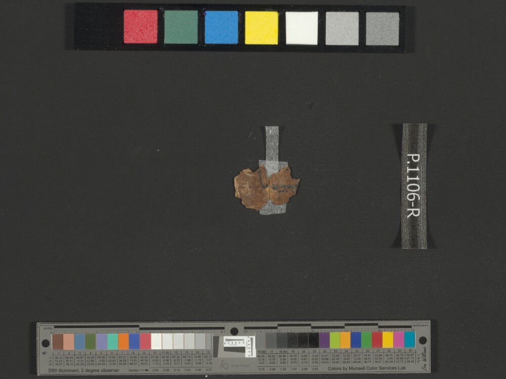 4Q Samuel a (4QSamᵃ) showing 1 Samuel (1 Kingdoms) 12:9 from Late 1st Century BC found in Qumran, Cave 4, currently housed at Rockefeller Museum, Jerusalem