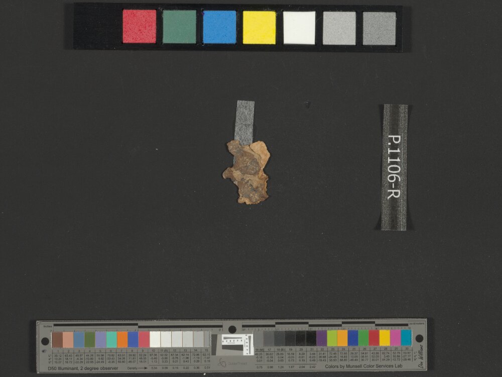 4Q Samuel a (4QSamᵃ) showing 1 Samuel (1 Kingdoms) 6:7 from Late 1st Century BC found in Qumran, Cave 4, currently housed at Rockefeller Museum, Jerusalem