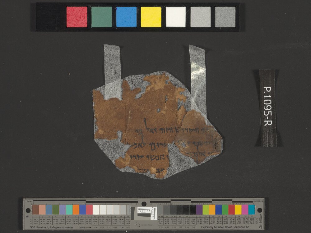 4Q Samuel a (4QSamᵃ) showing 1 Samuel (1 Kingdoms) 6:21 from Late 1st Century BC found in Qumran, Cave 4, currently housed at Rockefeller Museum, Jerusalem