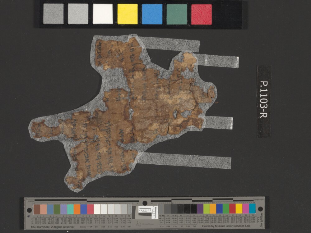 4Q Samuel a (4QSamᵃ) showing 2 Samuel (2 Kingdoms) 13:2 from Late 1st Century BC found in Qumran, Cave 4, currently housed at Rockefeller Museum, Jerusalem