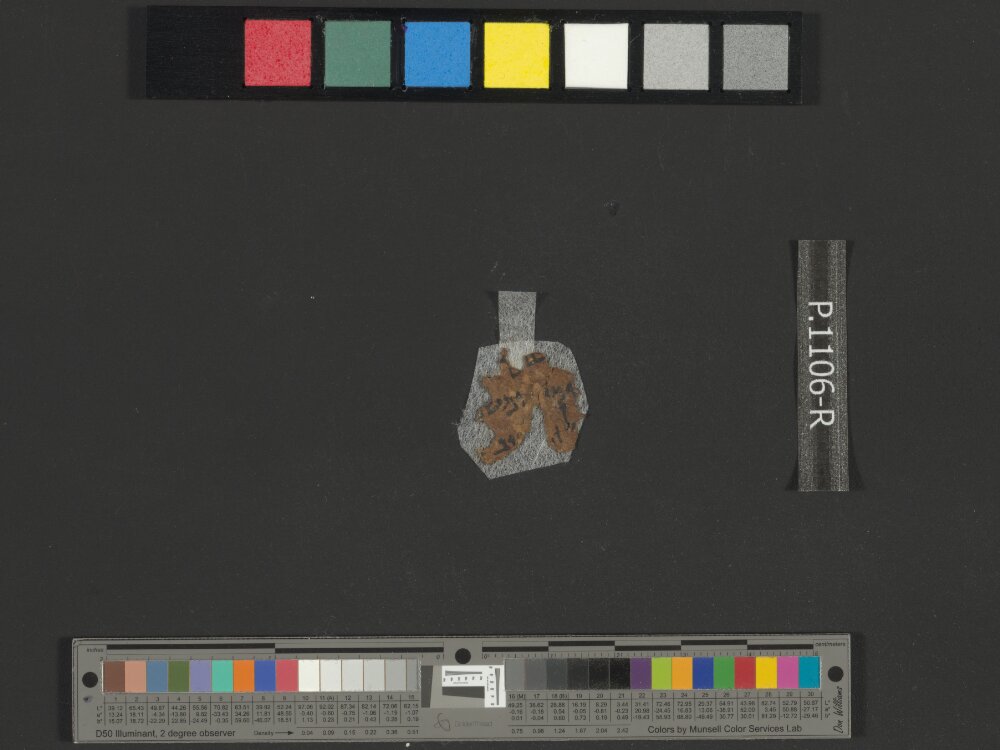 4Q Samuel a (4QSamᵃ) showing 2 Samuel (2 Kingdoms) 16:8 from Late 1st Century BC found in Qumran, Cave 4, currently housed at Rockefeller Museum, Jerusalem