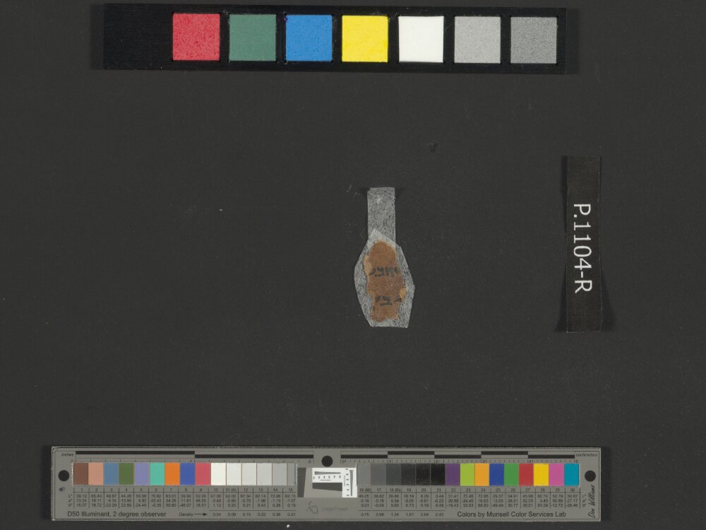 4Q Samuel a (4QSamᵃ) showing 2 Samuel (2 Kingdoms) 17:23 from Late 1st Century BC found in Qumran, Cave 4, currently housed at Rockefeller Museum, Jerusalem