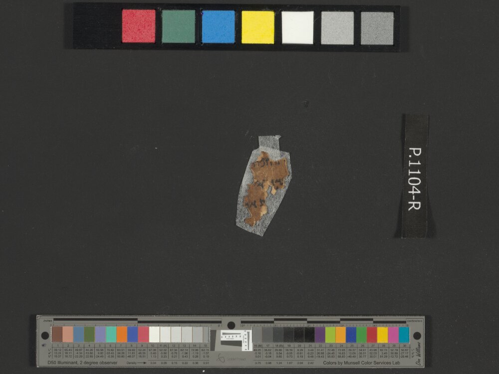 4Q Samuel a (4QSamᵃ) showing 2 Samuel (2 Kingdoms) 19:22 from Late 1st Century BC found in Qumran, Cave 4, currently housed at Rockefeller Museum, Jerusalem