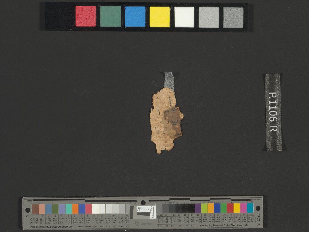 4Q Samuel a (4QSamᵃ) showing 2 Samuel (2 Kingdoms) 19:38 from Late 1st Century BC found in Qumran, Cave 4, currently housed at Rockefeller Museum, Jerusalem