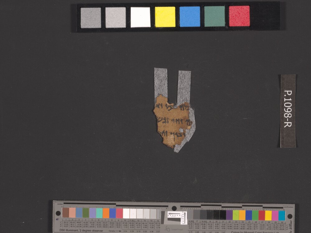 4Q Samuel a (4QSamᵃ) showing 1 Samuel (1 Kingdoms) 25:24 from Late 1st Century BC found in Qumran, Cave 4, currently housed at Rockefeller Museum, Jerusalem