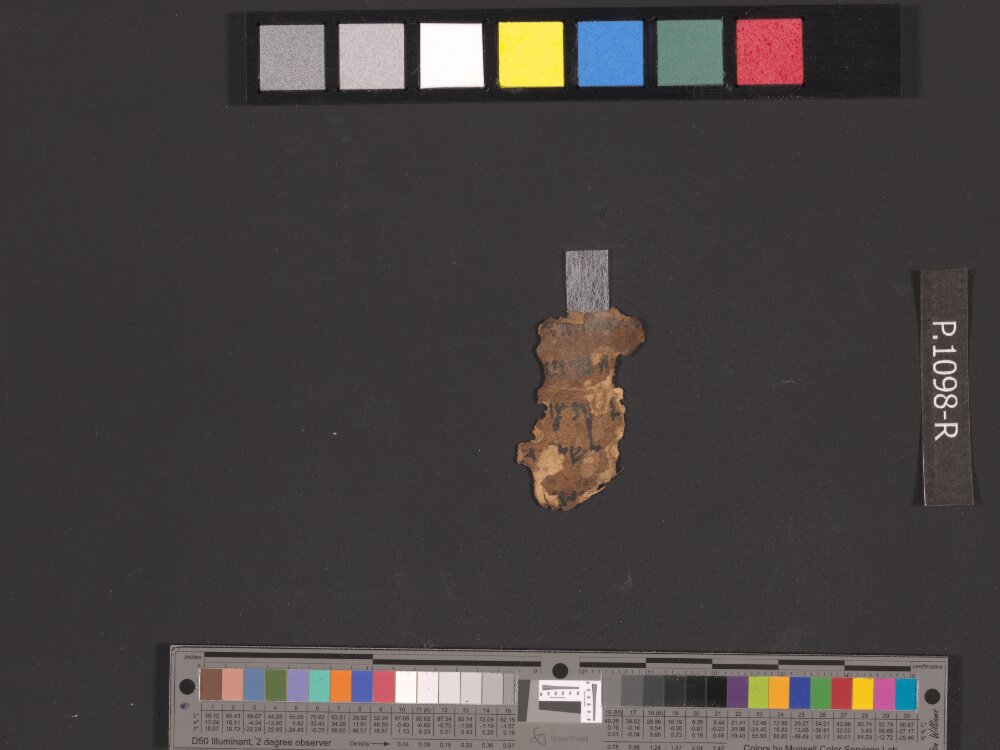 4Q Samuel a (4QSamᵃ) showing 1 Samuel (1 Kingdoms) 26:22 from Late 1st Century BC found in Qumran, Cave 4, currently housed at Rockefeller Museum, Jerusalem