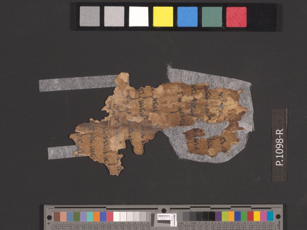 4Q Samuel a (4QSamᵃ) showing 1 Samuel (1 Kingdoms) 27:9 from Late 1st Century BC found in Qumran, Cave 4, currently housed at Rockefeller Museum, Jerusalem