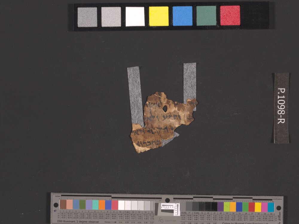 4Q Samuel a (4QSamᵃ) showing 1 Samuel (1 Kingdoms) 30:29 from Late 1st Century BC found in Qumran, Cave 4, currently housed at Rockefeller Museum, Jerusalem