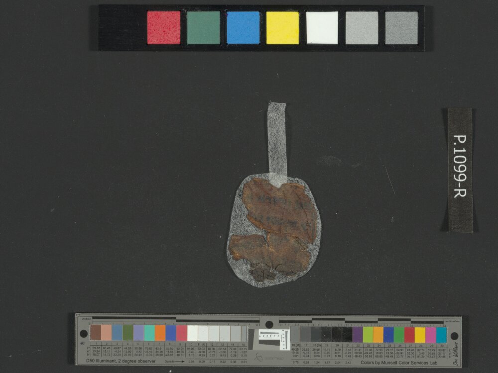 4Q Samuel a (4QSamᵃ) showing 2 Samuel (2 Kingdoms) 2:25 from Late 1st Century BC found in Qumran, Cave 4, currently housed at Rockefeller Museum, Jerusalem