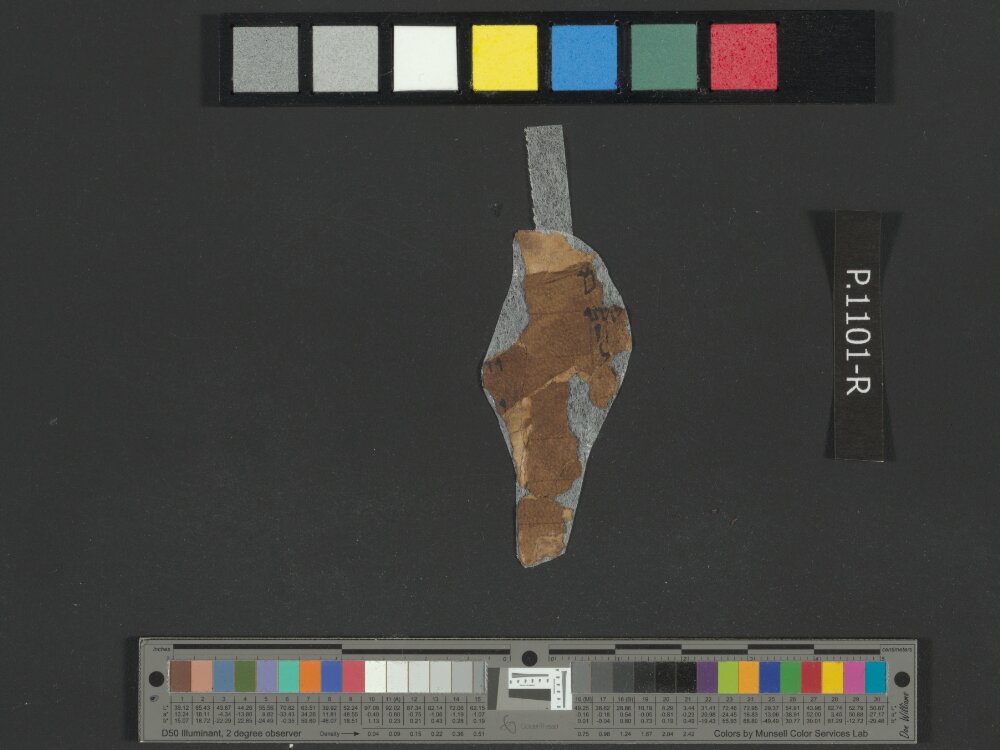 4Q Samuel a (4QSamᵃ) showing 2 Samuel (2 Kingdoms) 7:2 from Late 1st Century BC found in Qumran, Cave 4, currently housed at Rockefeller Museum, Jerusalem