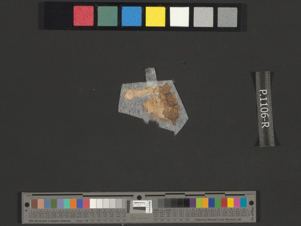 4Q Samuel a (4QSamᵃ) showing 2 Samuel (2 Kingdoms) 9:7 from Late 1st Century BC found in Qumran, Cave 4, currently housed at Rockefeller Museum, Jerusalem