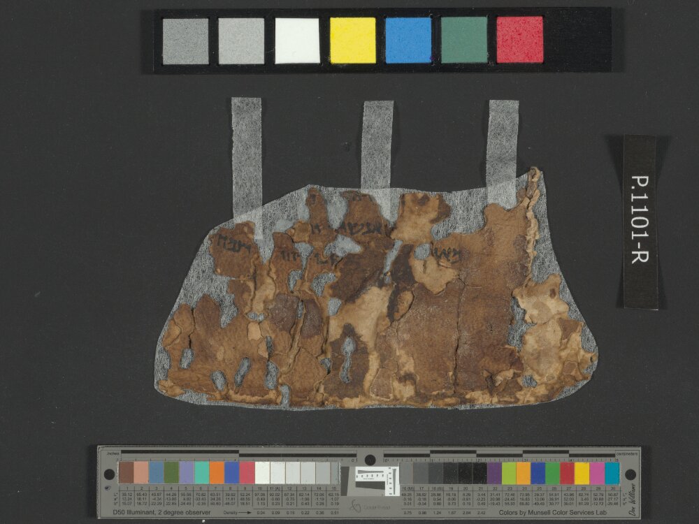 4Q Samuel a (4QSamᵃ) showing 2 Samuel (2 Kingdoms) 10:5 from Late 1st Century BC found in Qumran, Cave 4, currently housed at Rockefeller Museum, Jerusalem