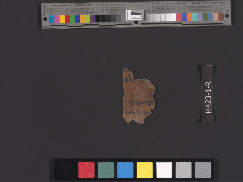 4Q Beatitudes showing Sirach 25:7 from Early Herodian Period (c. 50–1 BC) found in Qumran, Cave 4, currently housed at Rockefeller Museum, Jerusalem