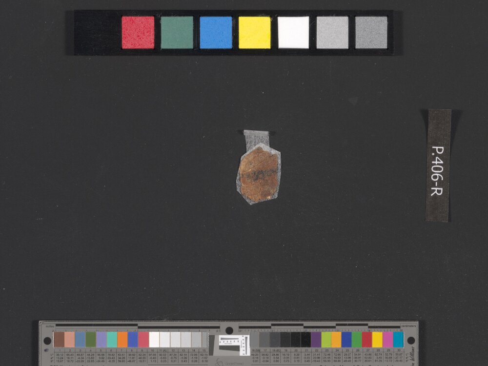 4QSamuelᶜ (Scan 2) showing 2 Samuel (2 Kingdoms) 14:33 from c. 100–75 BC found in Qumran, Cave 4, currently housed at Rockefeller Museum, Jerusalem
