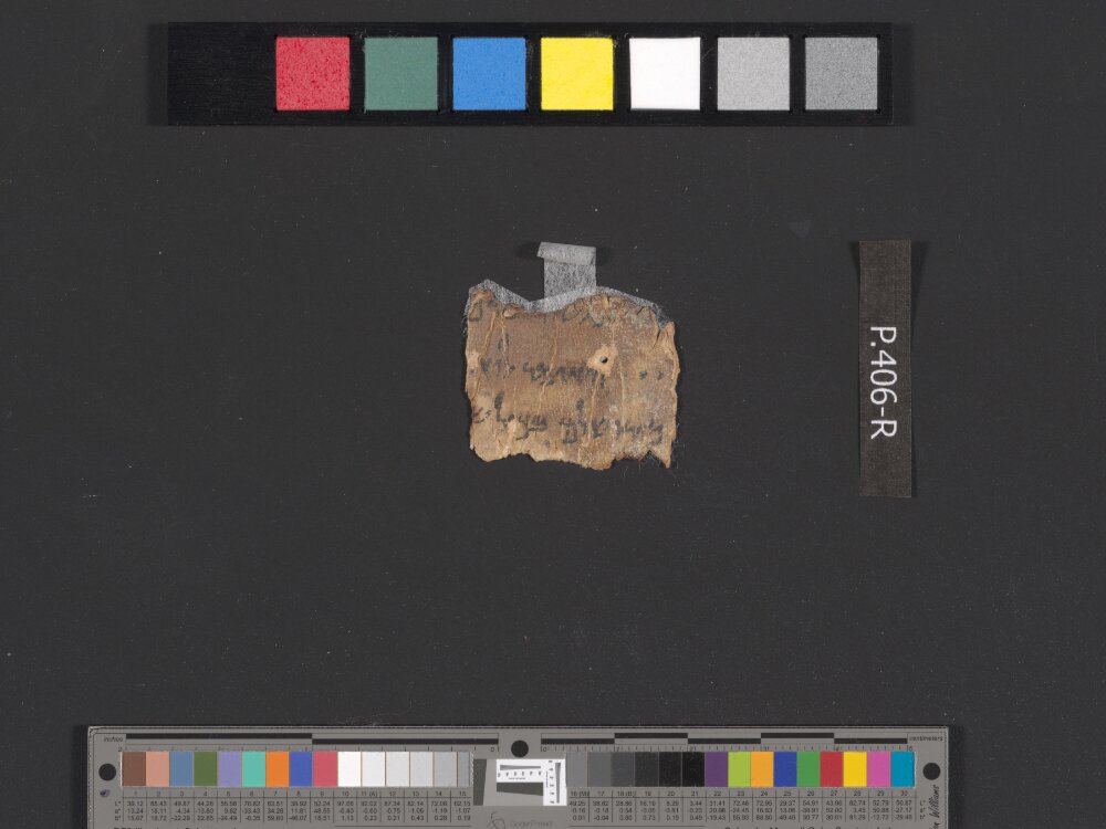 4QSamuelᶜ (Scan 1) showing 2 Samuel (2 Kingdoms) 15:13 from c. 100–75 BC found in Qumran, Cave 4, currently housed at Rockefeller Museum, Jerusalem