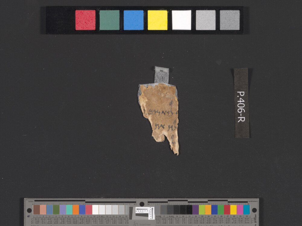 4QSamuelᶜ (Scan 2) showing 2 Samuel (2 Kingdoms) 15:13 from c. 100–75 BC found in Qumran, Cave 4, currently housed at Rockefeller Museum, Jerusalem