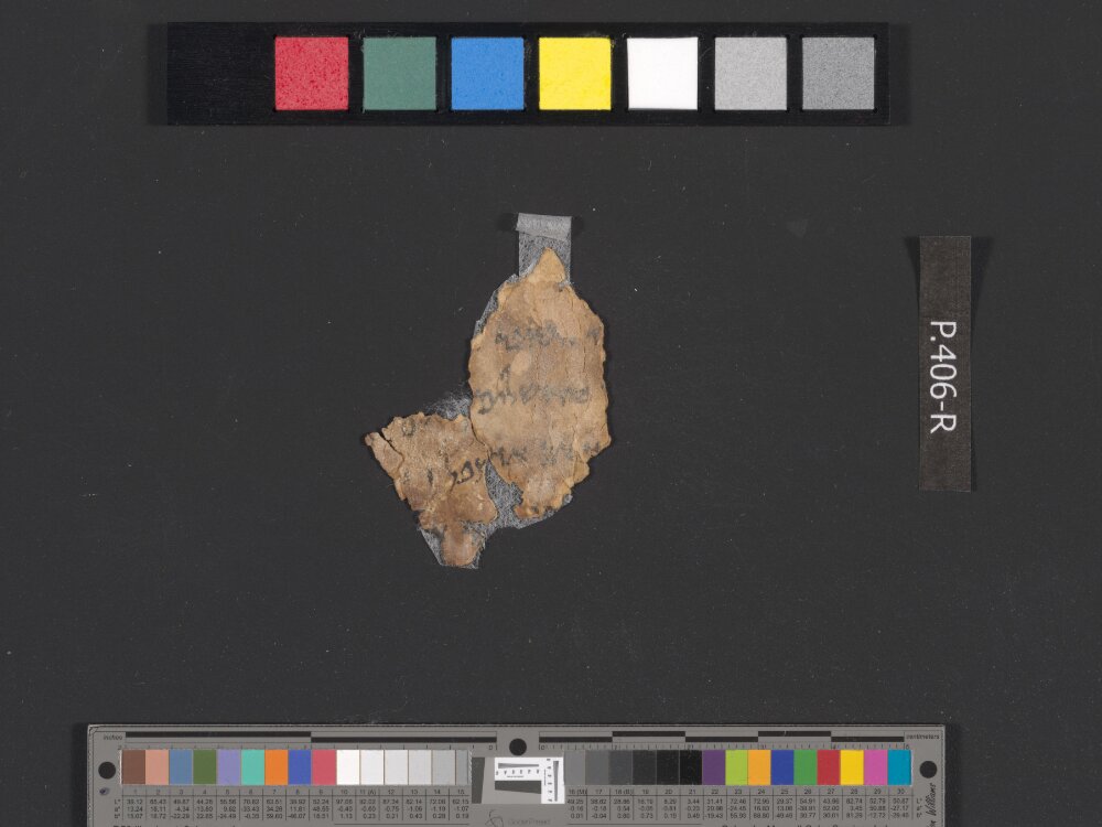 4QSamuelᶜ (Scan 3) showing 2 Samuel (2 Kingdoms) 15:13 from c. 100–75 BC found in Qumran, Cave 4, currently housed at Rockefeller Museum, Jerusalem