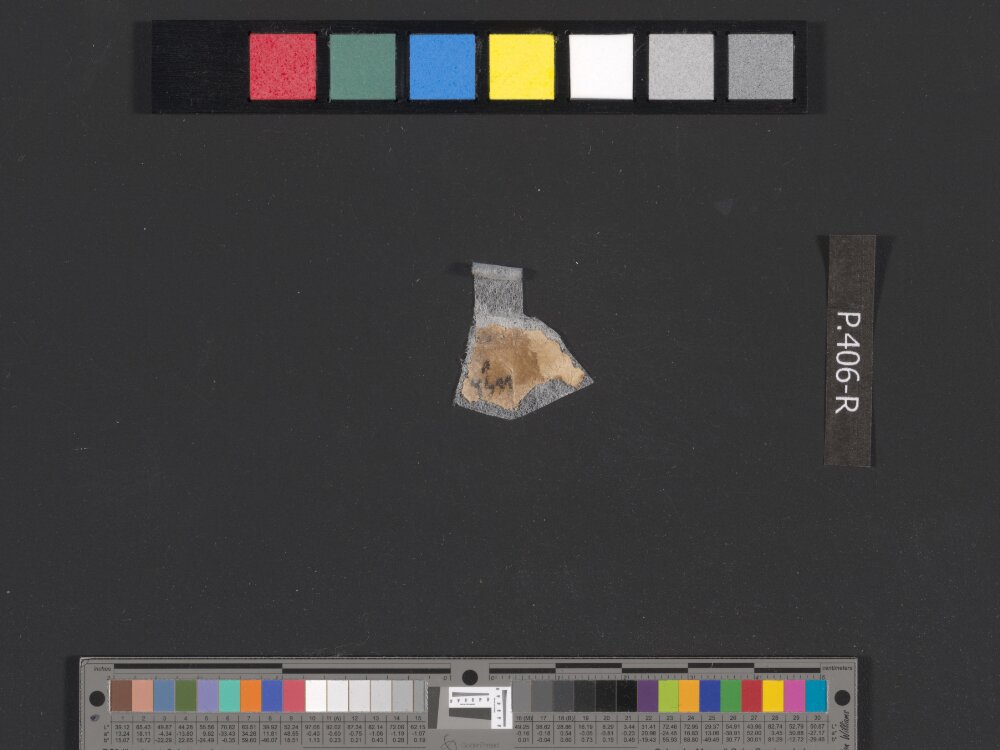 4QSamuelᶜ (Scan 4) showing 2 Samuel (2 Kingdoms) 15:13 from c. 100–75 BC found in Qumran, Cave 4, currently housed at Rockefeller Museum, Jerusalem