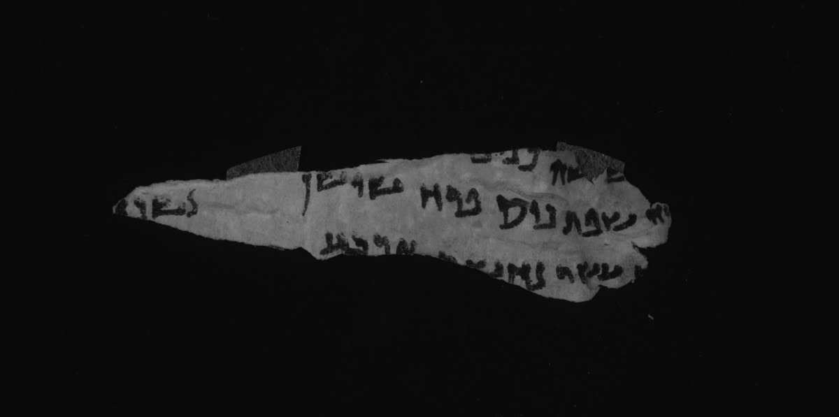 4Q Kings (Scan 2) showing 1 Kings (3 Kingdoms) 7:25 from Mid- to Late 1st Century BC found in Qumran, Cave 4, currently housed at Rockefeller Museum, Jerusalem