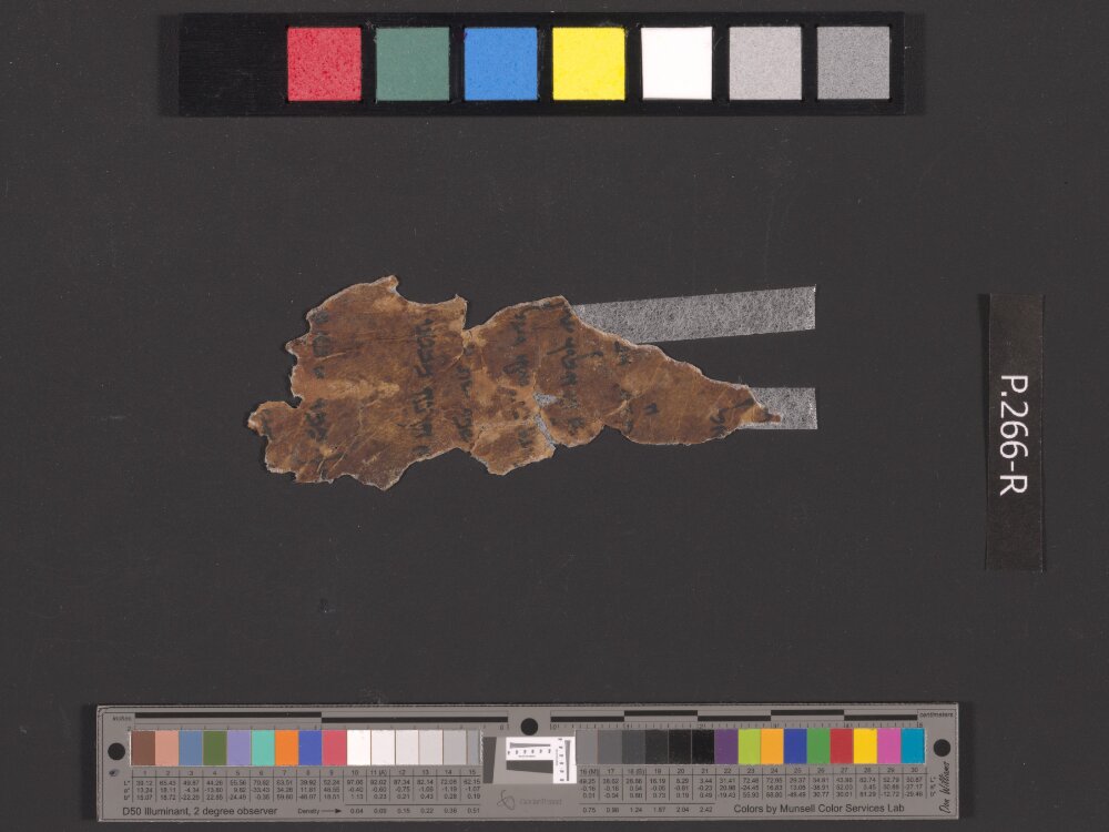 4QIsaiah a (4QIsaᵃ) (Scan 1) showing Isaiah 21:13 from Late Hasmonean (c. 75–50 BC) found in Qumran, Cave 4, currently housed at Rockefeller Museum, Jerusalem