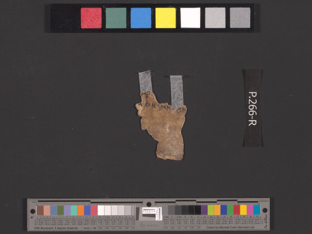 4QIsaiah a (4QIsaᵃ) (Scan 2) showing Isaiah 21:13 from Late Hasmonean (c. 75–50 BC) found in Qumran, Cave 4, currently housed at Rockefeller Museum, Jerusalem