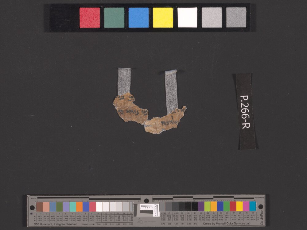 4QIsaiah a (4QIsaᵃ) (Scan 3) showing Isaiah 21:13 from Late Hasmonean (c. 75–50 BC) found in Qumran, Cave 4, currently housed at Rockefeller Museum, Jerusalem