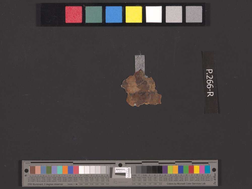 4QIsaiah a (4QIsaᵃ) showing Isaiah 1:3 from Late Hasmonean (c. 75–50 BC) found in Qumran, Cave 4, currently housed at Rockefeller Museum, Jerusalem
