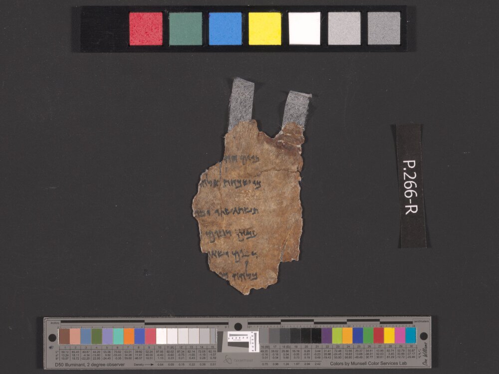 4QIsaiah a (4QIsaᵃ) showing Isaiah 17:9 from Late Hasmonean (c. 75–50 BC) found in Qumran, Cave 4, currently housed at Rockefeller Museum, Jerusalem