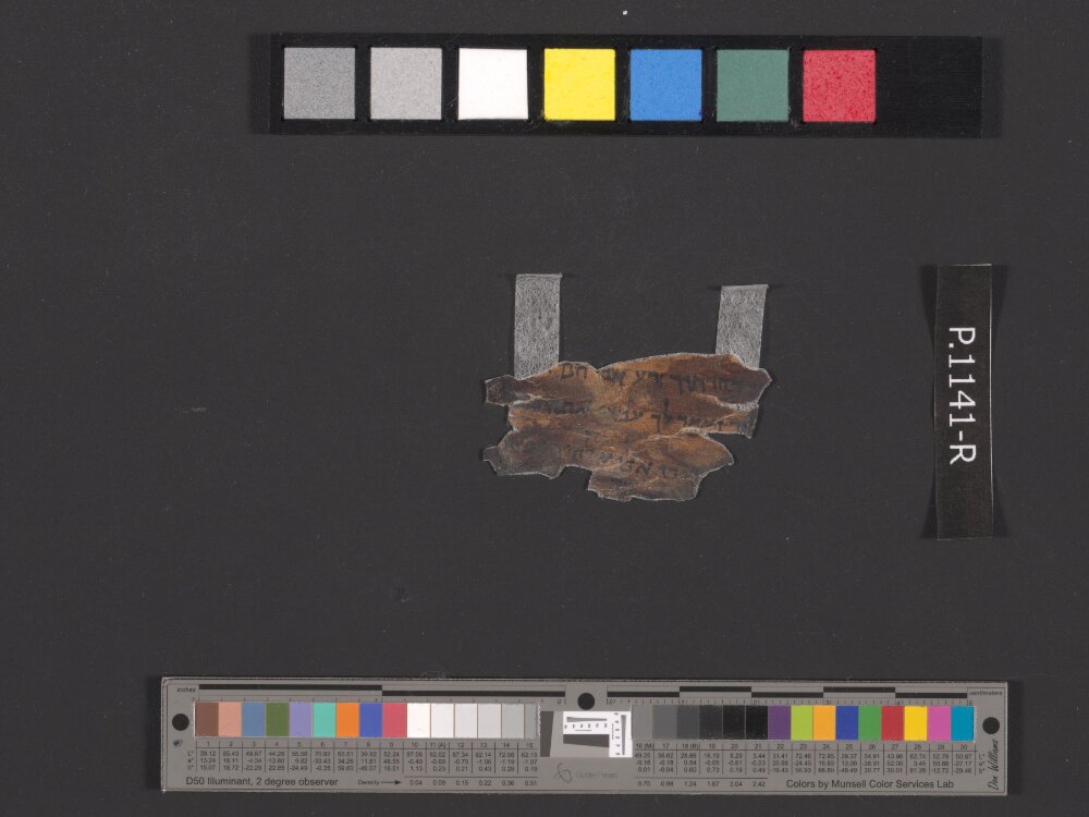 4QIsaᵋ showing Isaiah 41:8 from c. 50–25 BC found in Qumran, Cave 4, currently housed at Rockefeller Museum, Jerusalem
