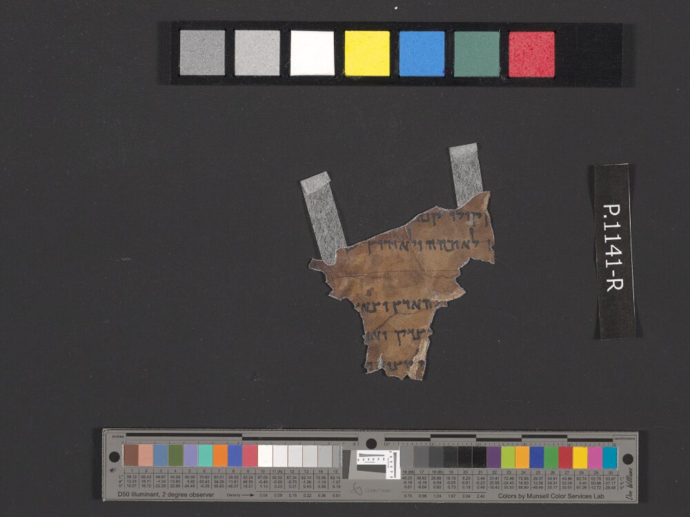 4QIsaᵋ (Scan 2) showing Isaiah 42:2 from c. 50–25 BC found in Qumran, Cave 4, currently housed at Rockefeller Museum, Jerusalem