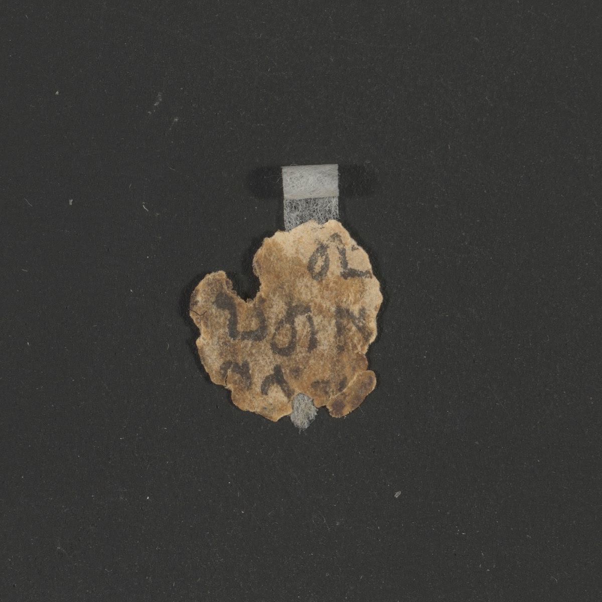 4Q Genesis n showing Genesis 50:3 from Mid-2nd Century BC – Mid-1st Century BC found in Qumran, Cave 4, currently housed at Rockefeller Museum, Jerusalem