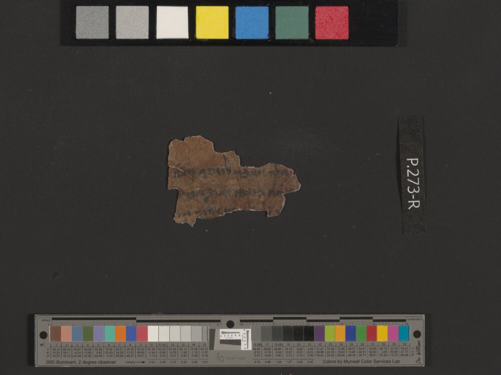 4QGenesis f (Scan 2) showing Genesis 48:5 from Mid-1st Century BC found in Qumran, Cave 4, currently housed at Rockefeller Museum, Jerusalem