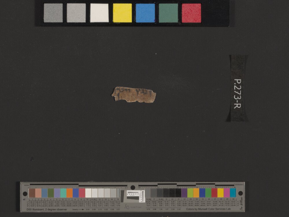 4QGenesis f showing Genesis 48:8 from Mid-1st Century BC found in Qumran, Cave 4, currently housed at Rockefeller Museum, Jerusalem