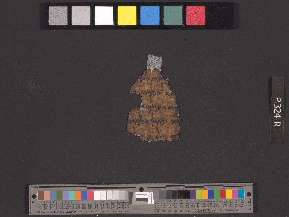 4QIsa f (Scan 1) showing Isaiah 7:24 from Early to Mid-1st Century BC found in Qumran, Cave 4, currently housed at Rockefeller Museum, Jerusalem