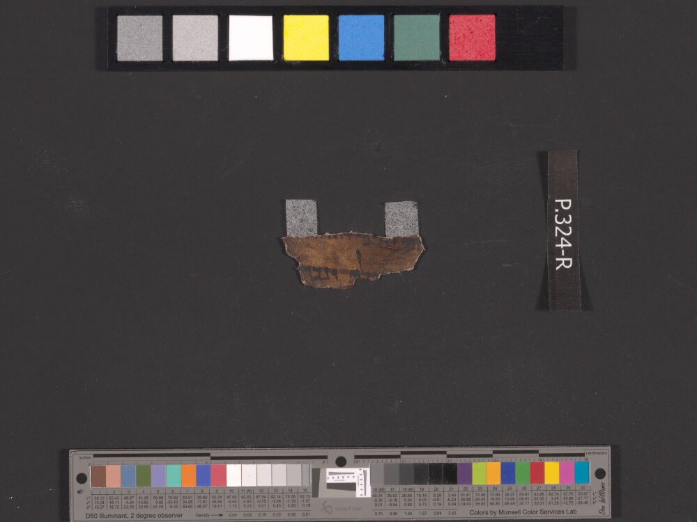4QIsa f showing Isaiah 8:9 from Early to Mid-1st Century BC found in Qumran, Cave 4, currently housed at Rockefeller Museum, Jerusalem