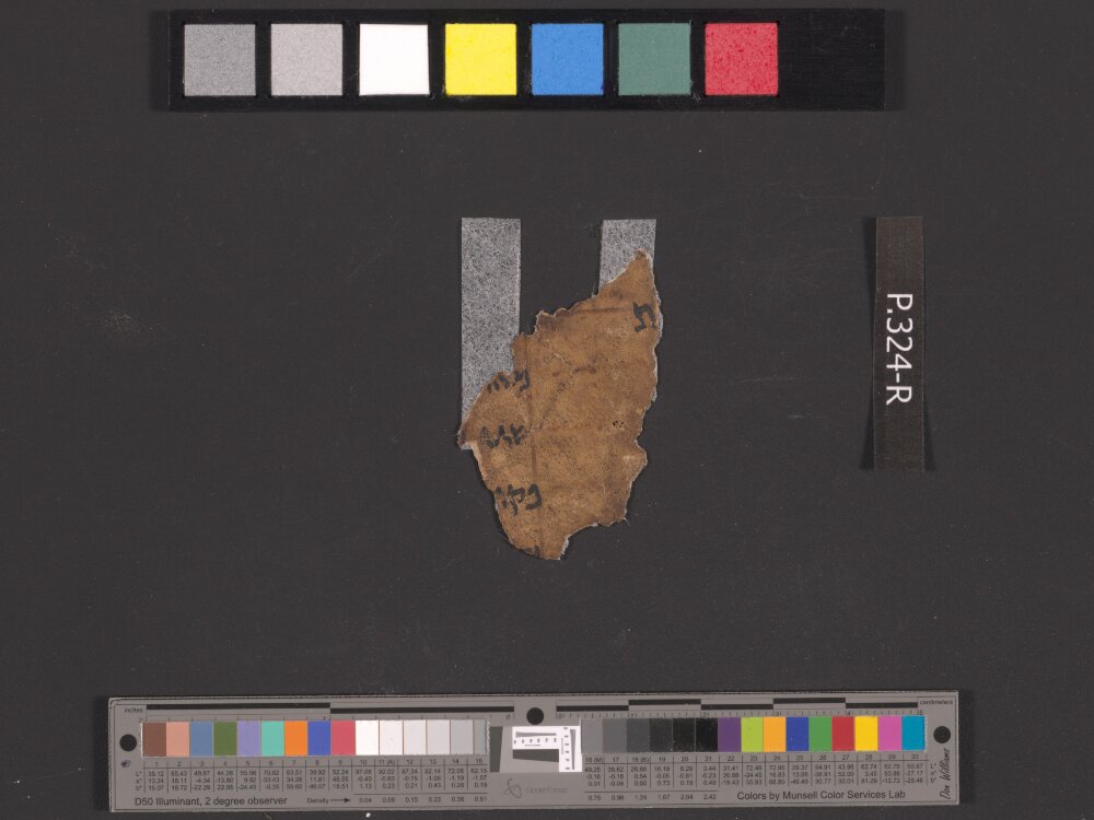 4QIsa f (Scan 2) showing Isaiah 7:24 from Early to Mid-1st Century BC found in Qumran, Cave 4, currently housed at Rockefeller Museum, Jerusalem