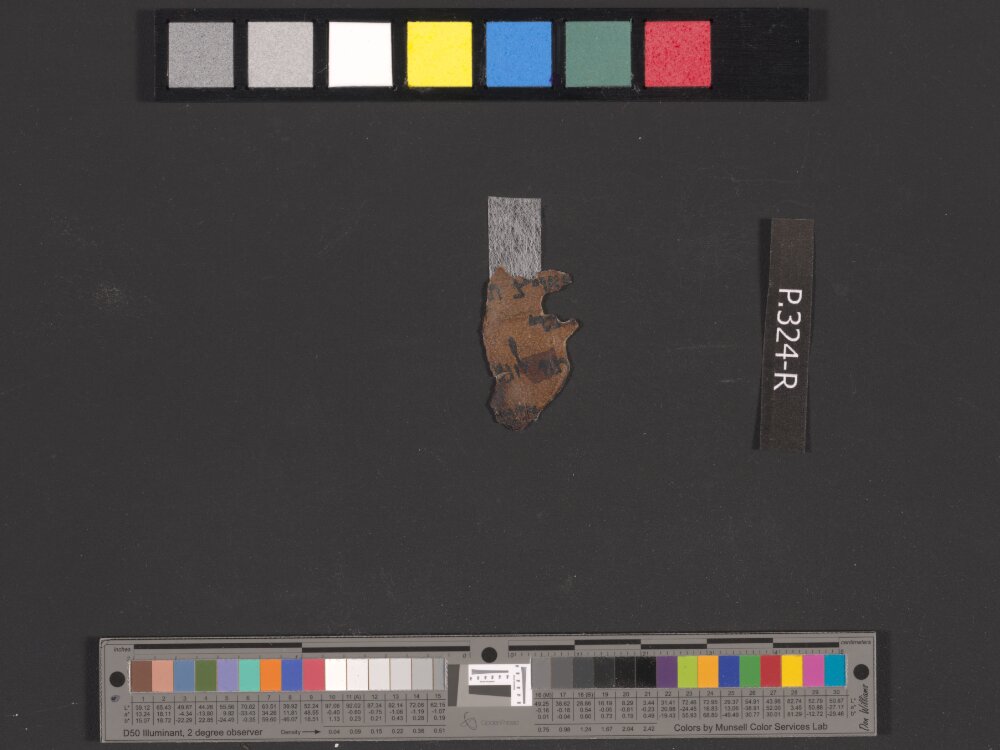 4QIsa f (Scan 2) showing Isaiah 1:11 from Early to Mid-1st Century BC found in Qumran, Cave 4, currently housed at Rockefeller Museum, Jerusalem