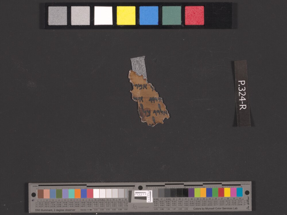 4QIsa f (Scan 2) showing Isaiah 1:25 from Early to Mid-1st Century BC found in Qumran, Cave 4, currently housed at Rockefeller Museum, Jerusalem