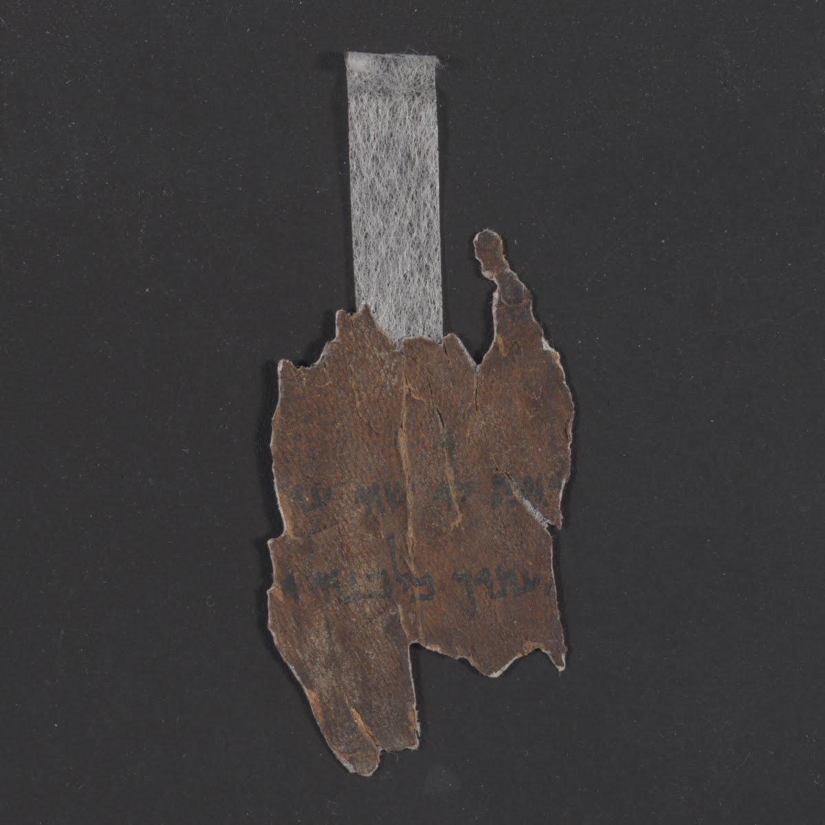4QIsaiah g showing Isaiah 43:19 from Second Half of the 1st Century BC found in Qumran, Cave 4, currently housed at Rockefeller Museum, Jerusalem