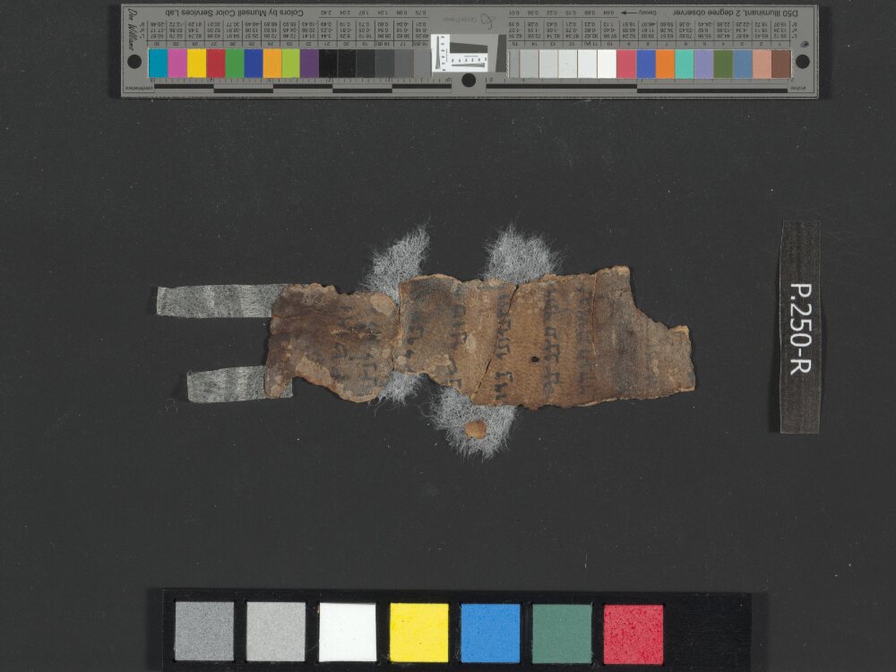4Q Isaiah k (4QIsaᵏ) (Scan 1) showing Isaiah 29:3 from Late Hasmonean (c. 75–50 BC) found in Qumran, Cave 4, currently housed at Rockefeller Museum, Jerusalem