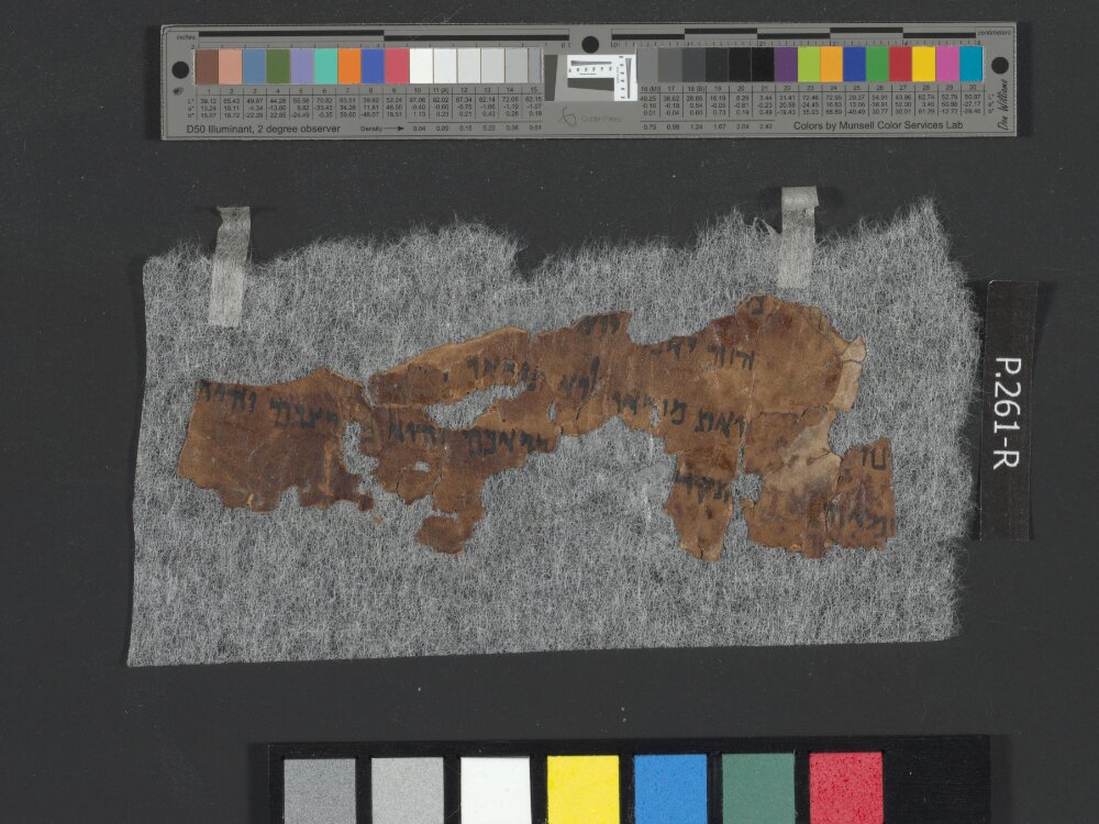 4Q Isaiah l (4QIsaˡ) showing Isaiah 8:12 from Late Hasmonean (c. 100–50 BC) found in Qumran, Cave 4, currently housed at Rockefeller Museum, Jerusalem