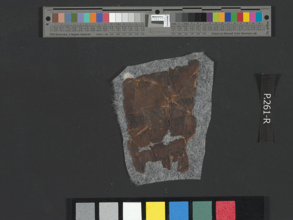 4Q Isaiah m (4QIsaᵍ) (Scan 2) showing Isaiah 61:2 from First Half of the 1st Century BC (c. 100–50 BC) found in Qumran, Cave 4, currently housed at Rockefeller Museum, Jerusalem